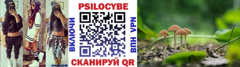 Псилоцибиновые грибы Psilocybine cubensis  Волчанск 